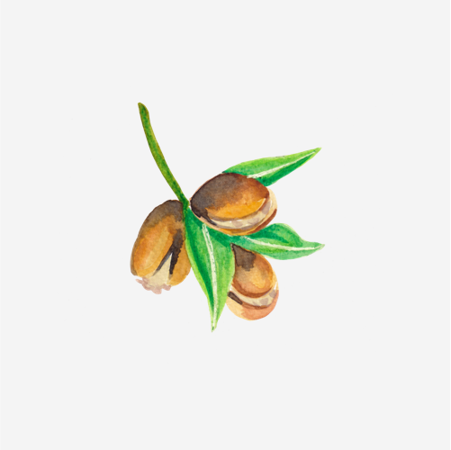 Argan oil