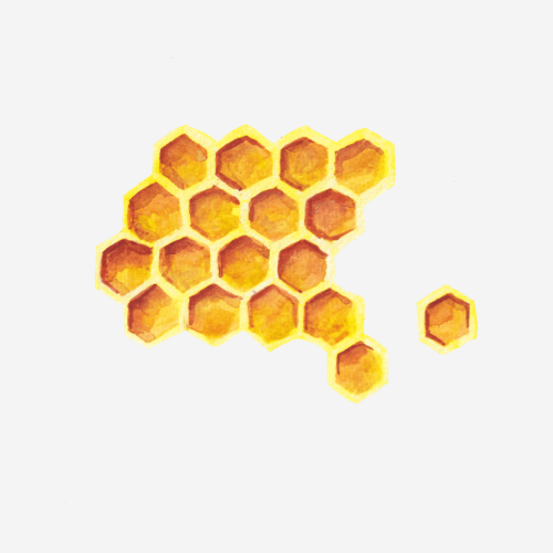 ORGANIC BEESWAX