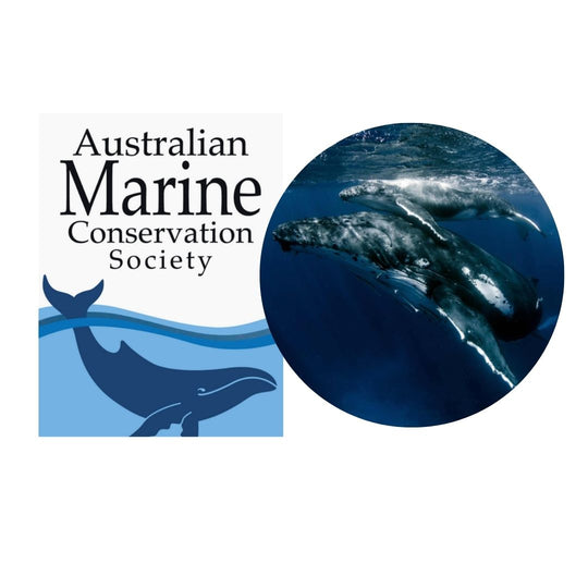 Australian Marine conservation society