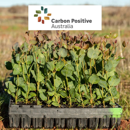 Carbon Positive Australia